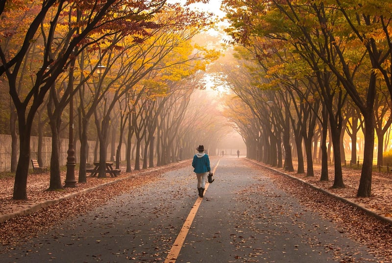 Meditative Walking